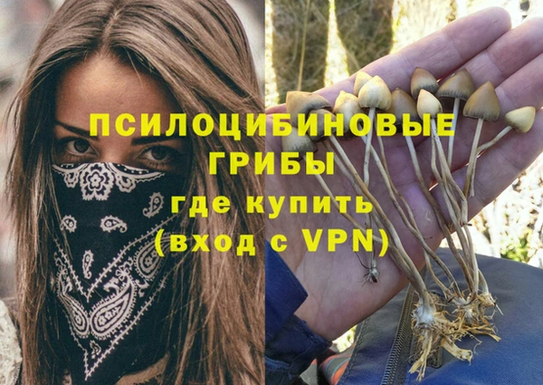 прущий лед Волосово