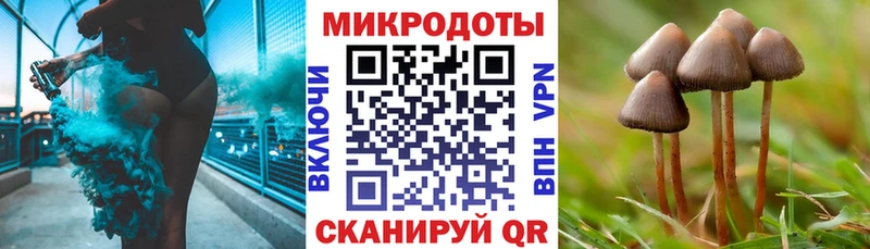 Галлюциногенные грибы Psilocybe  цена наркотик  Заринск 